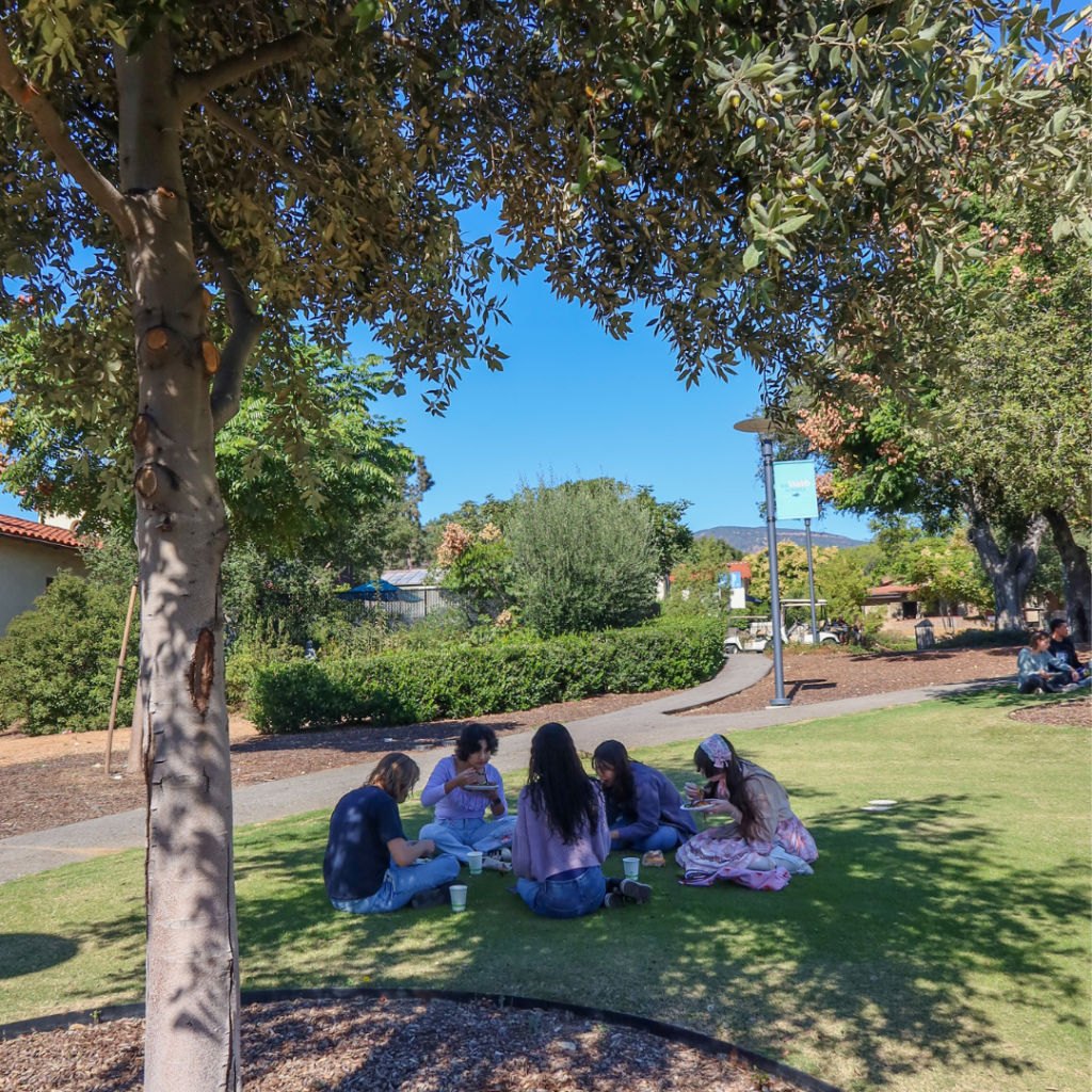 Students enjoy lunch in the shade of a tree on Centennial Field